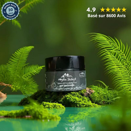 Shilajit Naturel de Shilamaya : Source de Vitalité et de Bien-être Exceptionnels